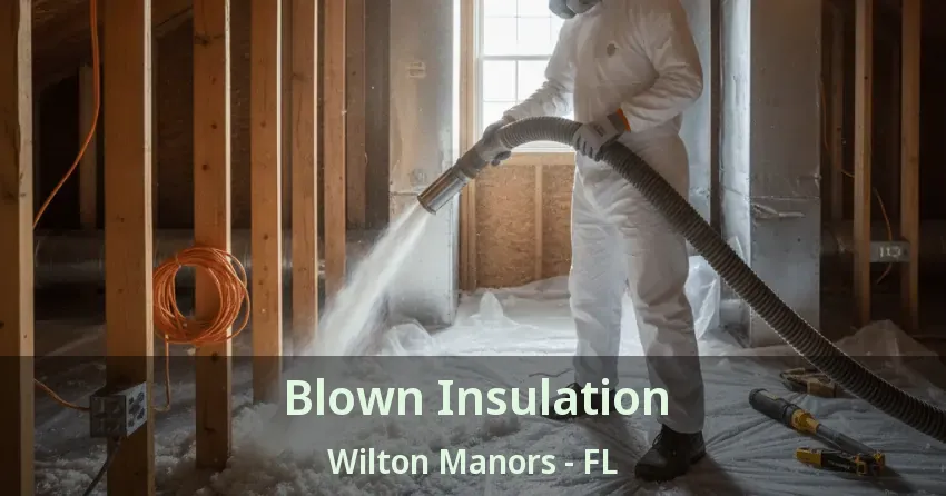 Blown Insulation Wilton Manors - FL