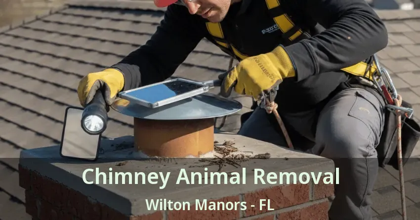 Chimney Animal Removal Wilton Manors - FL