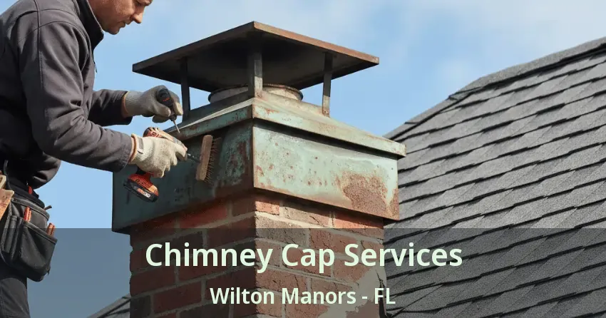 Chimney Cap Services Wilton Manors - FL