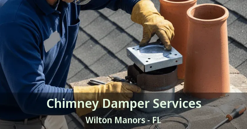 Chimney Damper Services Wilton Manors - FL