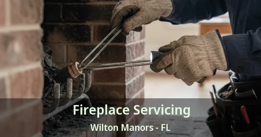Fireplace Servicing Wilton Manors - FL