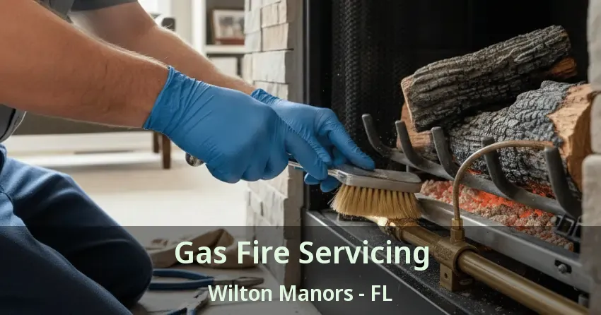 Gas Fire Servicing Wilton Manors - FL