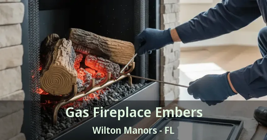 Gas Fireplace Embers Wilton Manors - FL