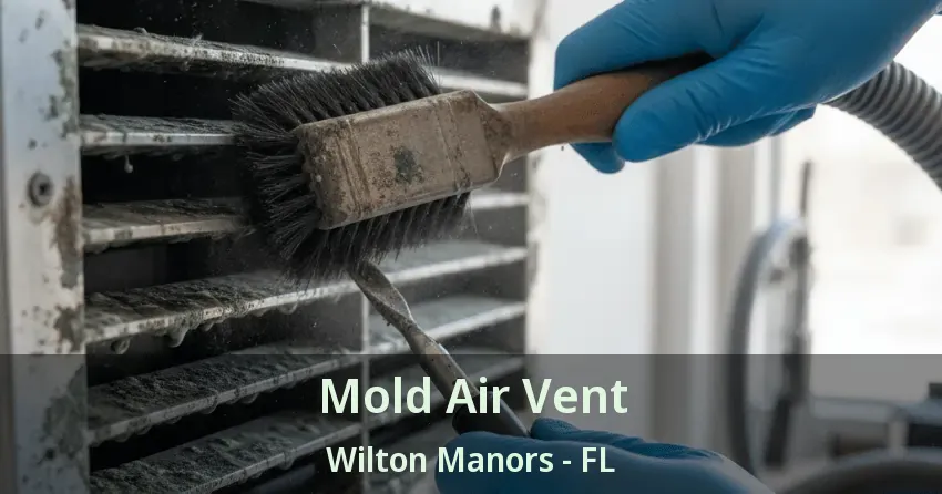 Mold Air Vent Wilton Manors - FL Mold Air Vent Wilton Manors - FL