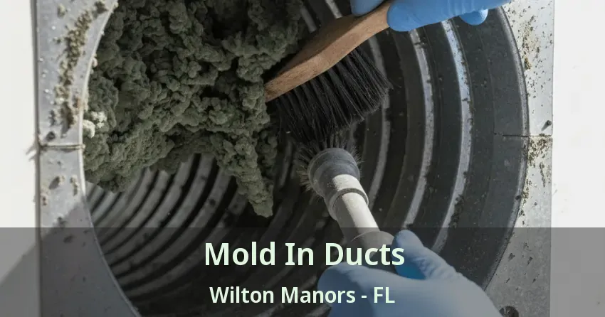 Mold In Ducts Wilton Manors - FL