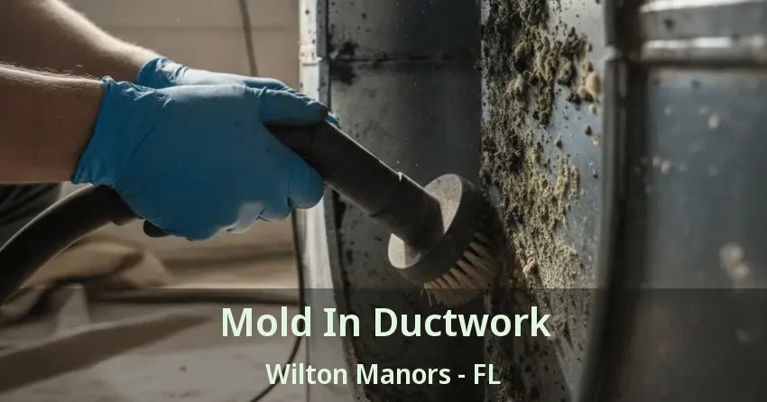 Mold In Ductwork Wilton Manors - FL