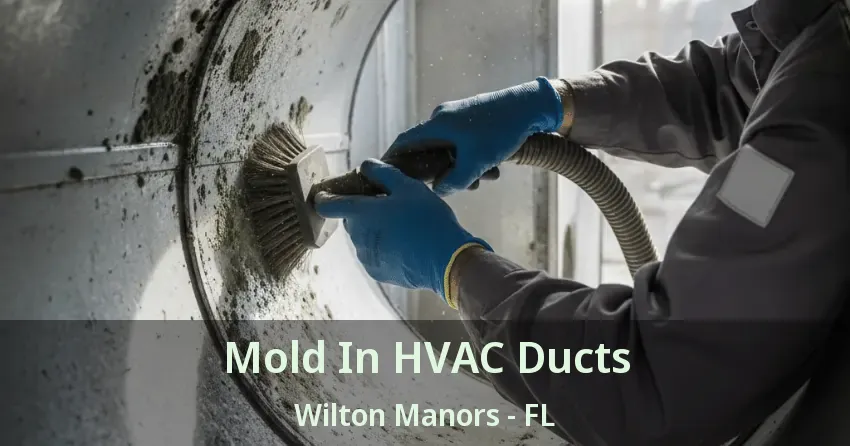 Mold In HVAC Ducts Wilton Manors - FL Mold In HVAC Ducts Wilton Manors - FL
